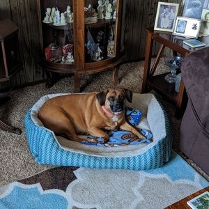 Meet your Posher, Nathan